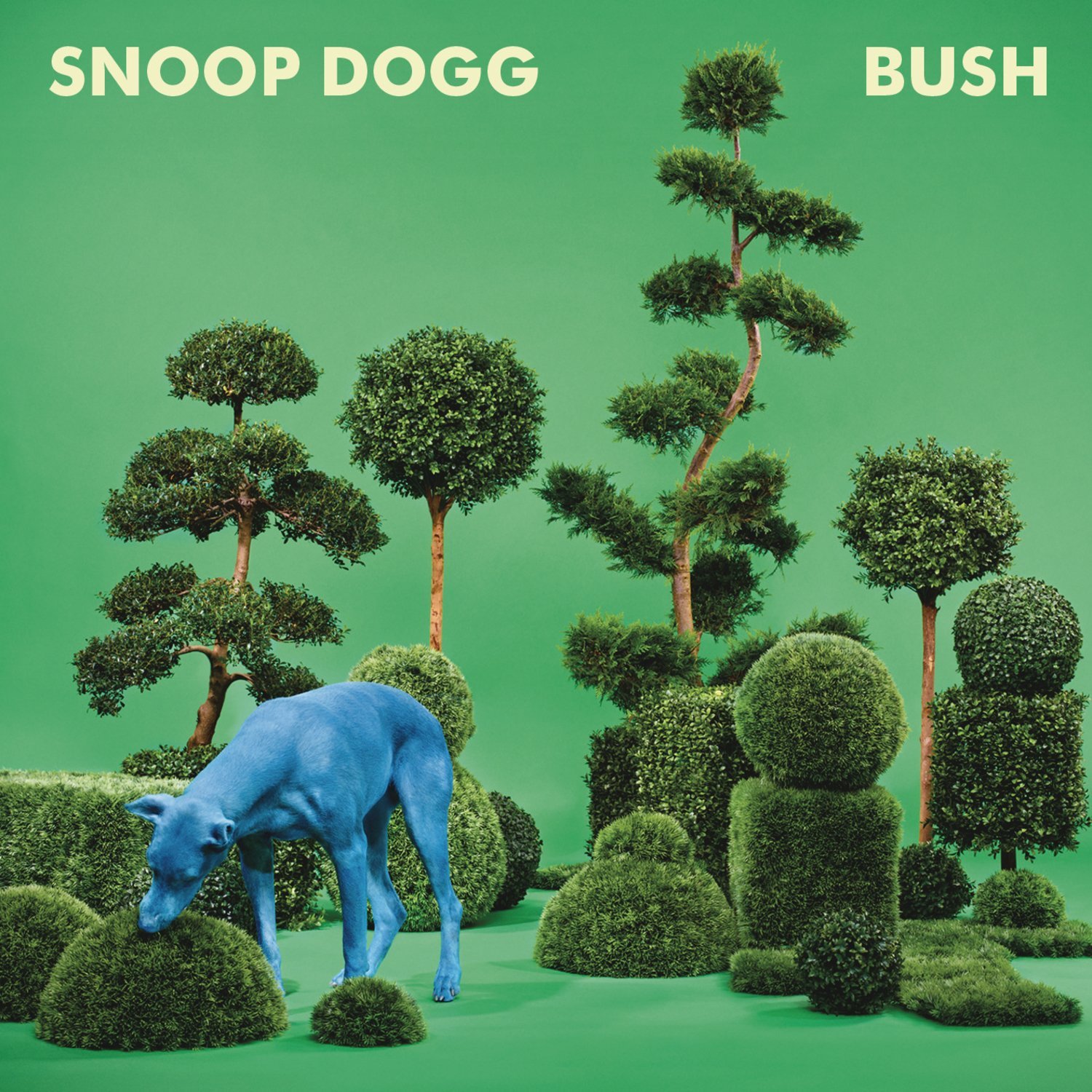 Snoop Dogg, BUSH [📷: Columbia]