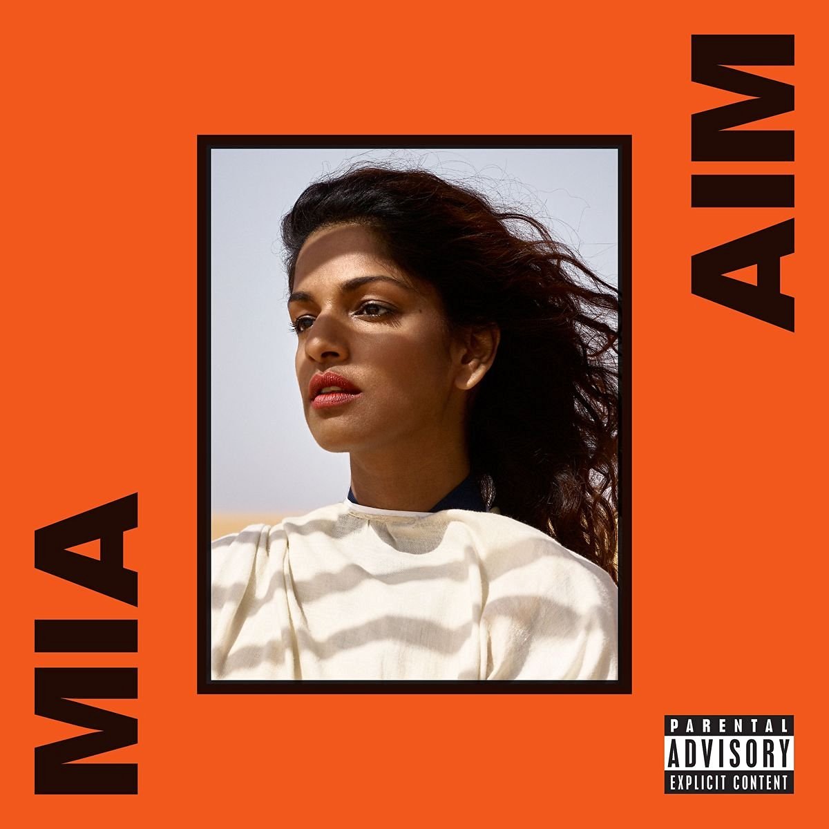 M.I.A., AIM © Interscope