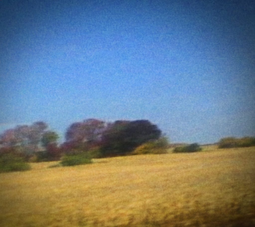 Sun Kil Moon, Benji © Caldo Verde