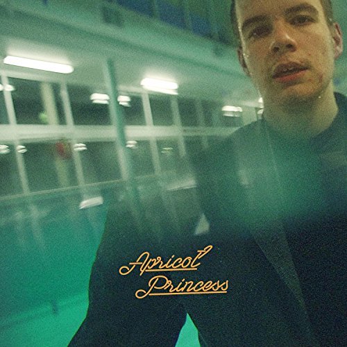 Rex Orange County, Apricot Princess © Rex Orange County