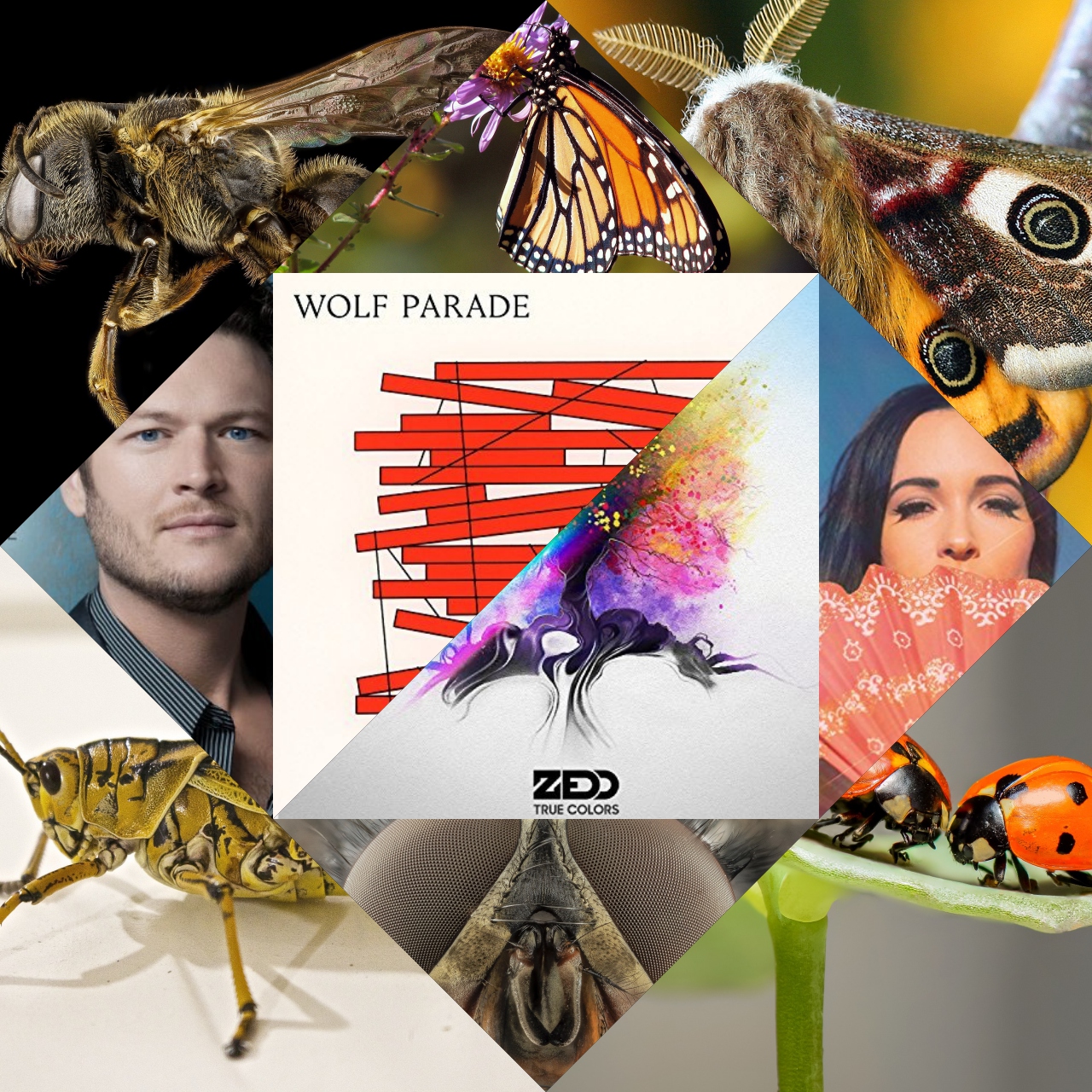 11 Colorful Songs About Various Bugs [Photo Credits: Interscope, MCA Nashville, Pixabay, Sub Pop, Warner Bros.]