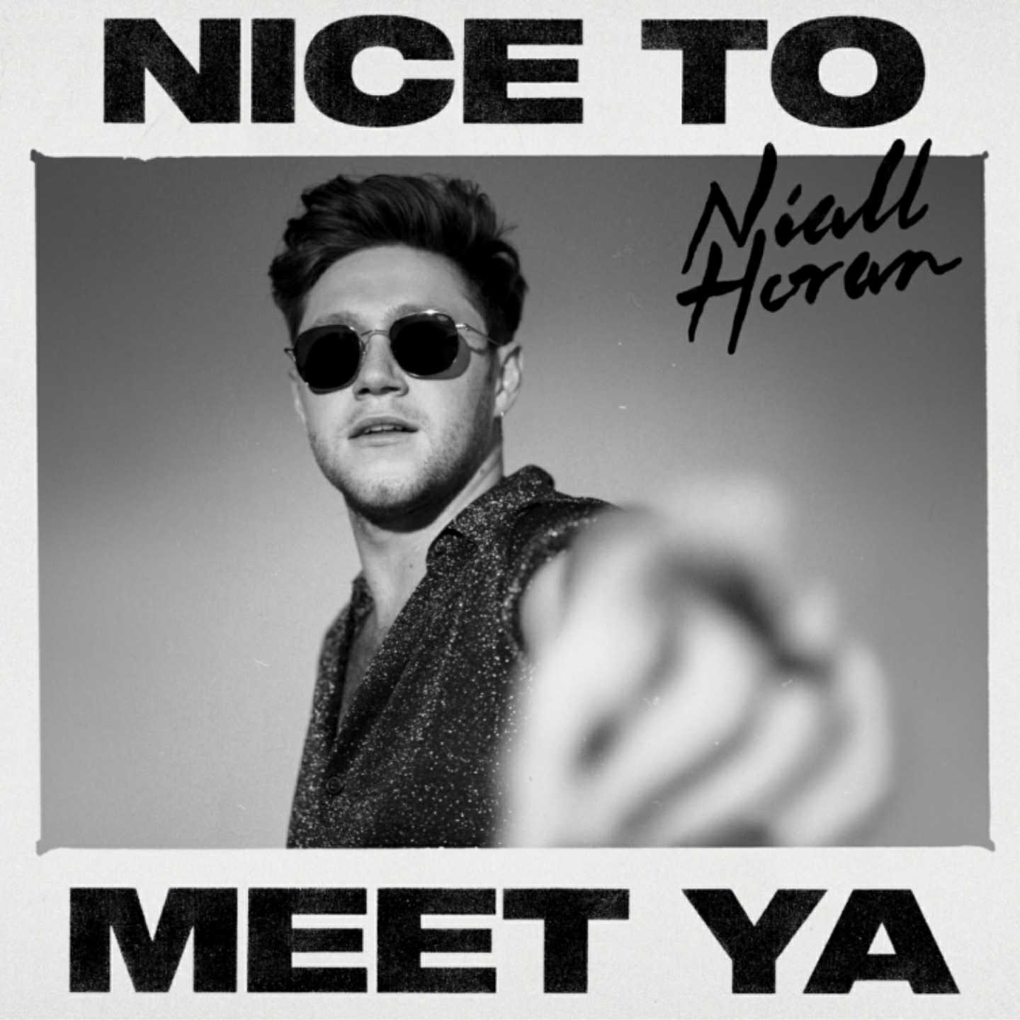 niall-horan-nice-to-meet-ya-capitol | The Musical Hype