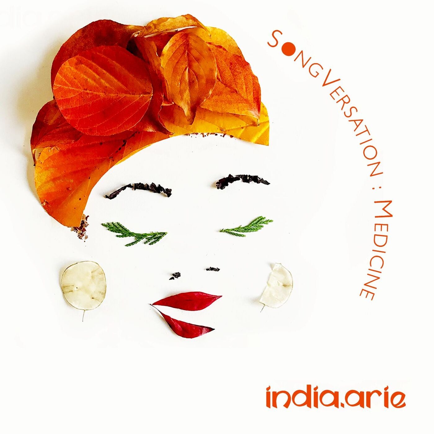 India.Arie, SongVersation: Medicine [📷 : BMG Rights Management]