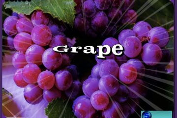 Grape: 5ive Songs No. 63 (2022) [📷: Brent Faulkner, Clovis Cheminot, Kai-Chieh Chan via Pexels, The Musical Hype, OpenClipart-Vectors, Pixabay]