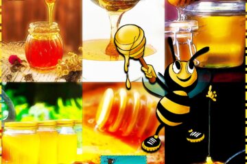 11 Songs That Are Sweet Like Honey [📷: Brent Faulkner /The Musical Hype; Arno Hartmann, Daria Yakovleva, Estelle Heitz, fancycrave1, Florian Kurz, PolyDot, Steve Buissinne via Pixabay]