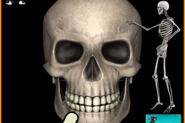 11 Skeletal, Hella Bony, Bone Songs  🦴 🩻 (2023) [📷: Brent Faulkner / The Musical Hype; 3530416, Dina Dee, OpenClipart-Vectors from Pixabay]  