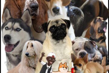 11 Captivating Songs About Dogs (2025) [📷: Brent Faulkner / The Musical Hype; Aaron_H, AcatXlo, boxerdogmadness, Dylan Dygert, Freddy, ntripke, Sonja Lindberg, XYLA from Pixabay]