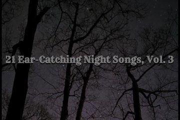 21 Ear-Catching Night Songs, Vol. 3 (2026) [📷: Brent Faulkner / The Musical Hype; Dudubangbang Travel from Pexels; Gordon Johnson from Pixabay]