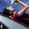 Dominic Fike, Wallflower | Song Review